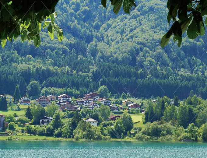 The Green Village