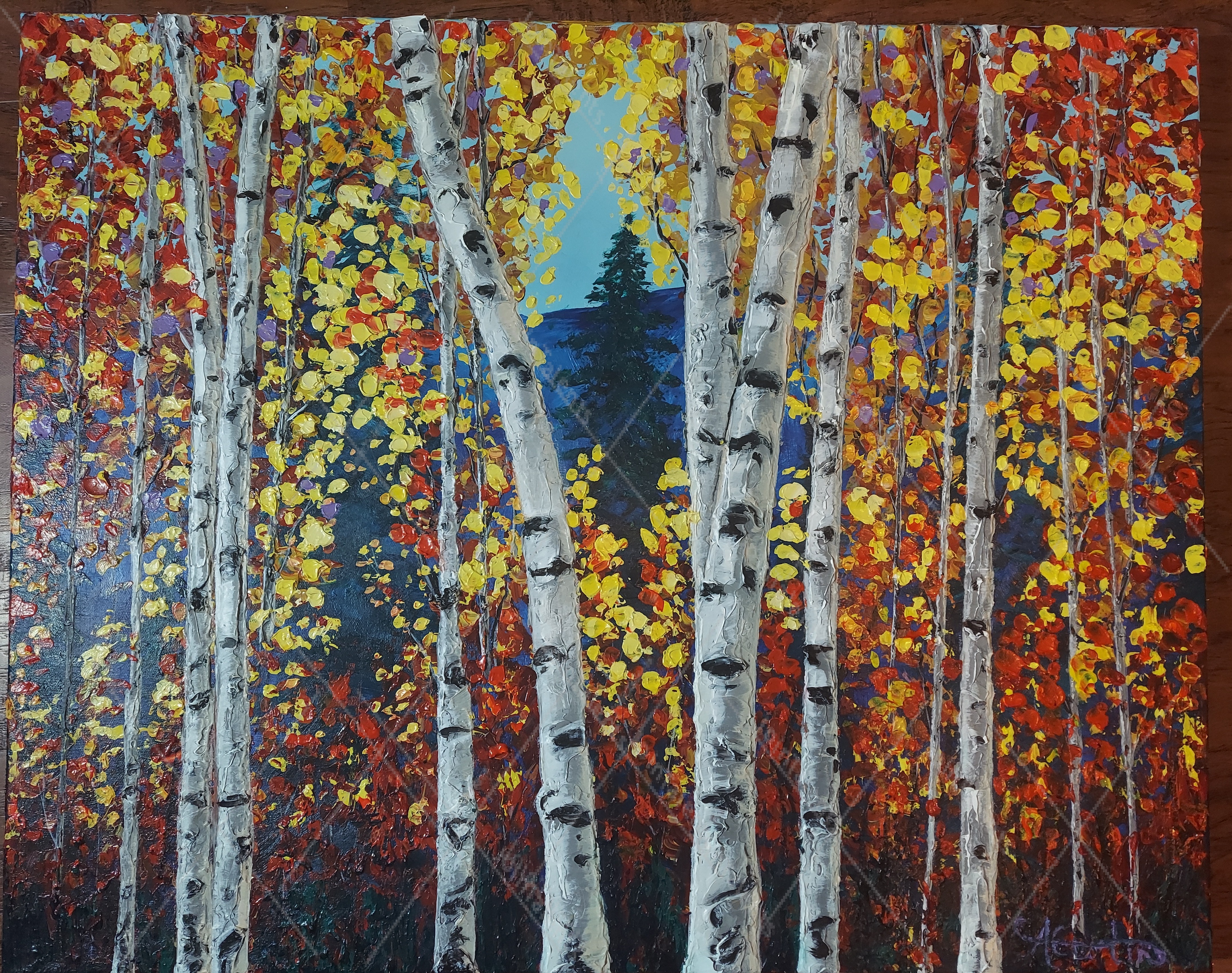 Evening Walk Through Color
